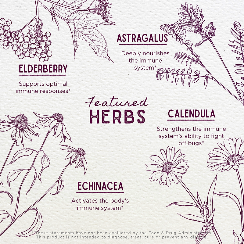 Featured Herbs in Daily Immune Builder For Kids