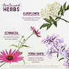 Featured Herbs in Kick-Ass Immune Activator