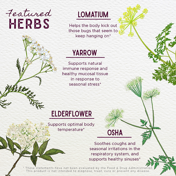 Featured Herbs in Serious V-Fighter Immune Force