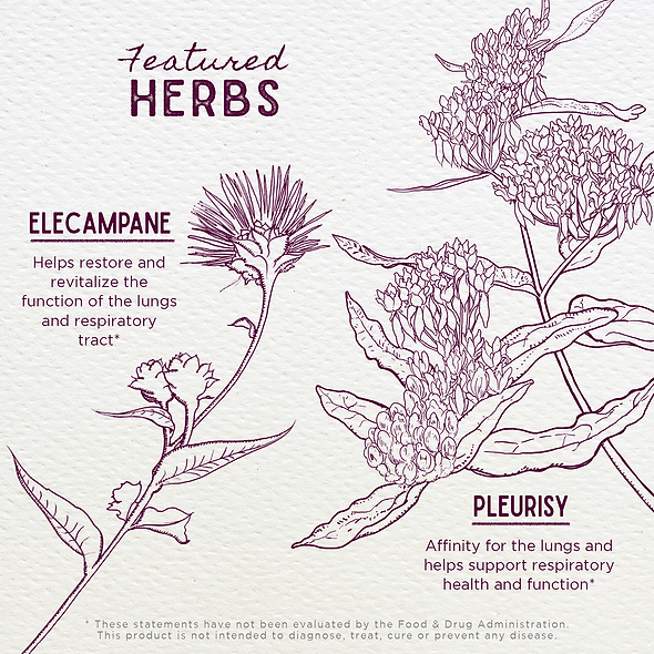 Featured Herbs in Serious Cough Soothing & Quieting