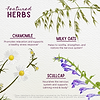 Featured Herbs in Sleepy Nights & Fresh Mornings for Pregnancy