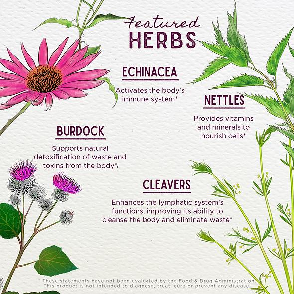 Featured Herbs in Daily Immune Builder