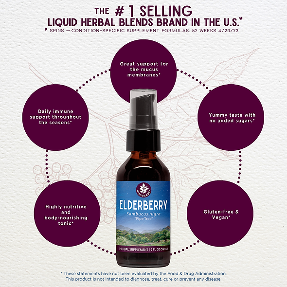 Elderberry Benefits