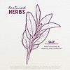 Featured Herbs in Sage Milk Reduction