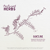 Featured Herbs in Goat's Rue Lactation Aid