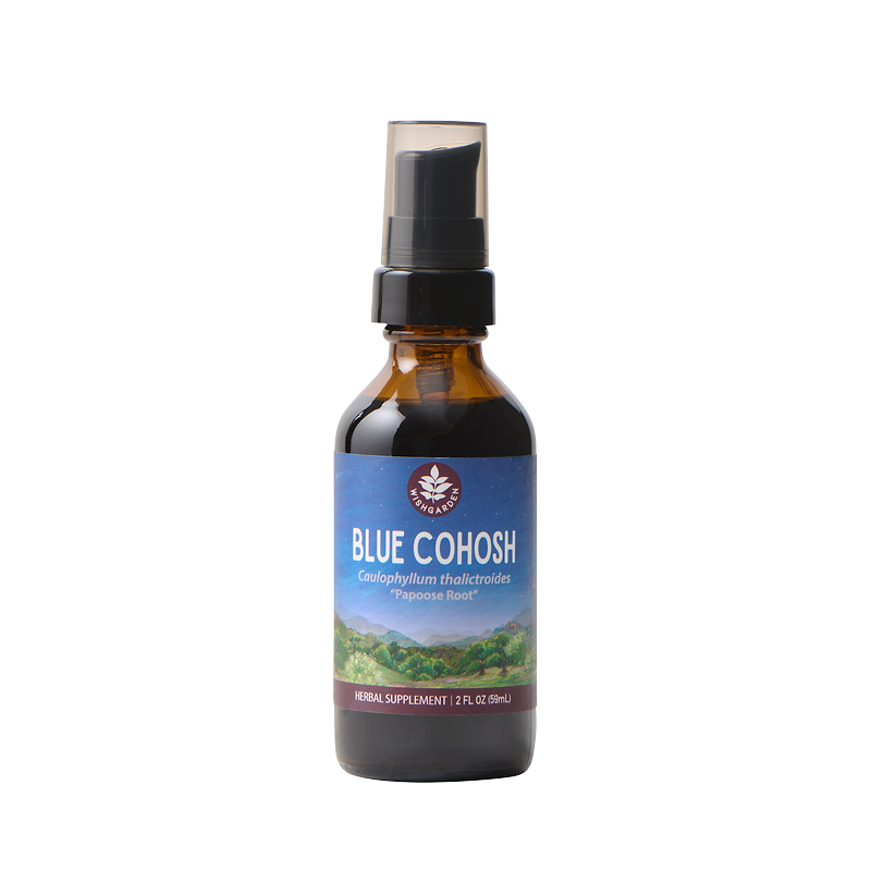Blue Cohosh
