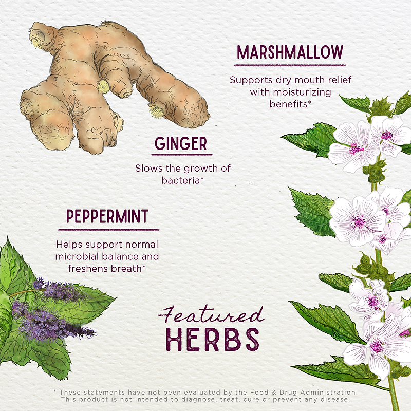 Featured Herbs in Magic Mint Breath Spray