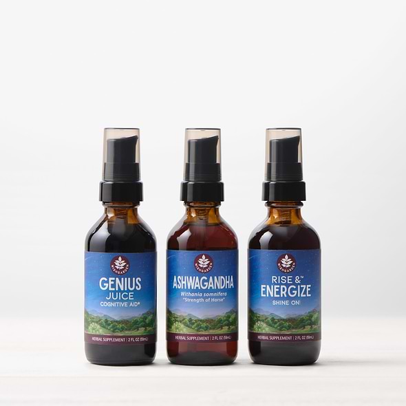 Energy Builder Bundle