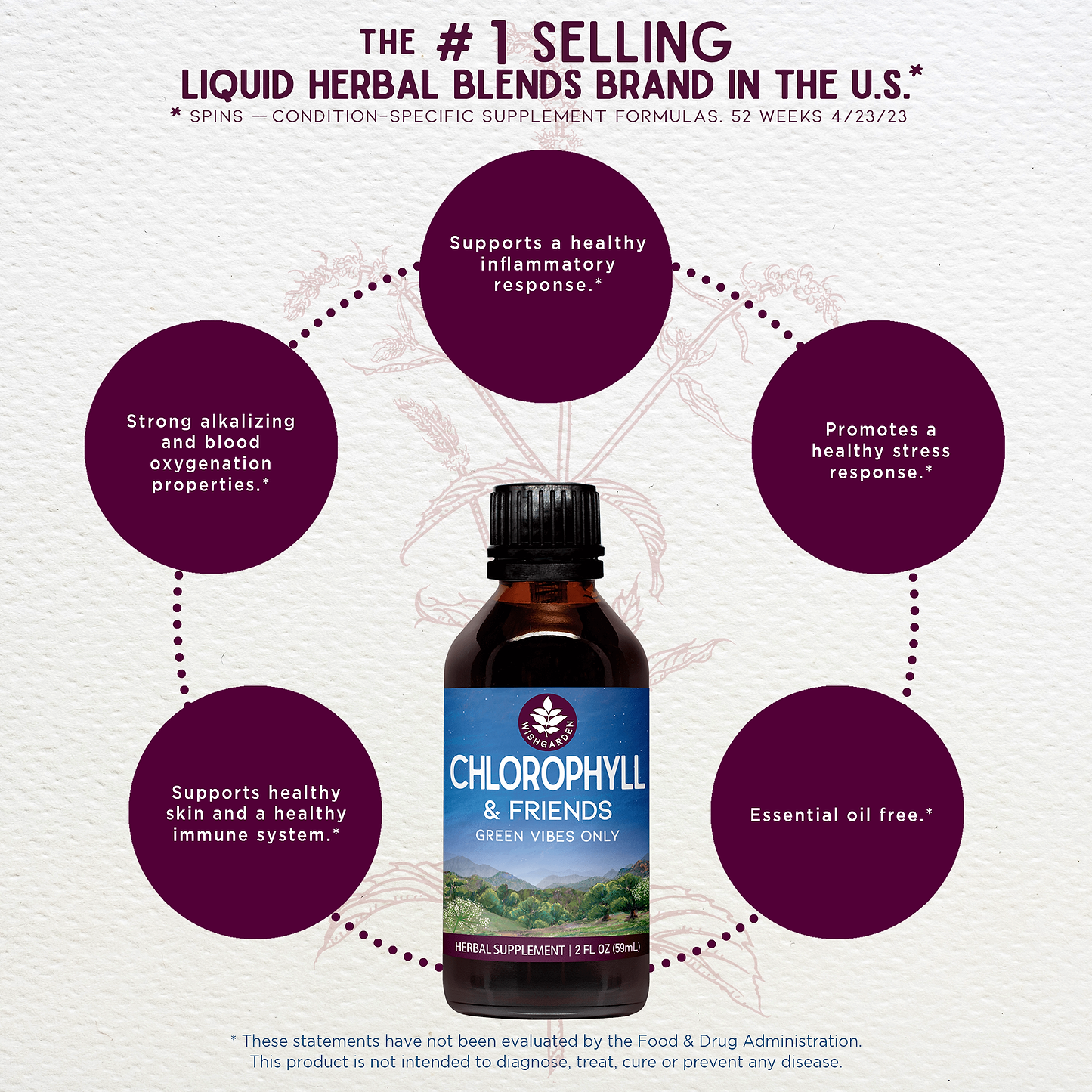 Benefits of Chlorophyll & Friends