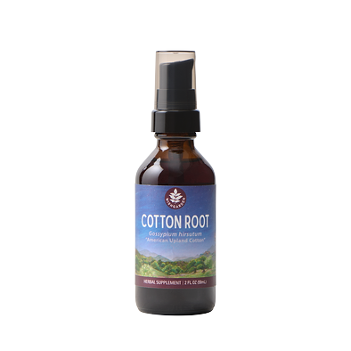 Cotton Root