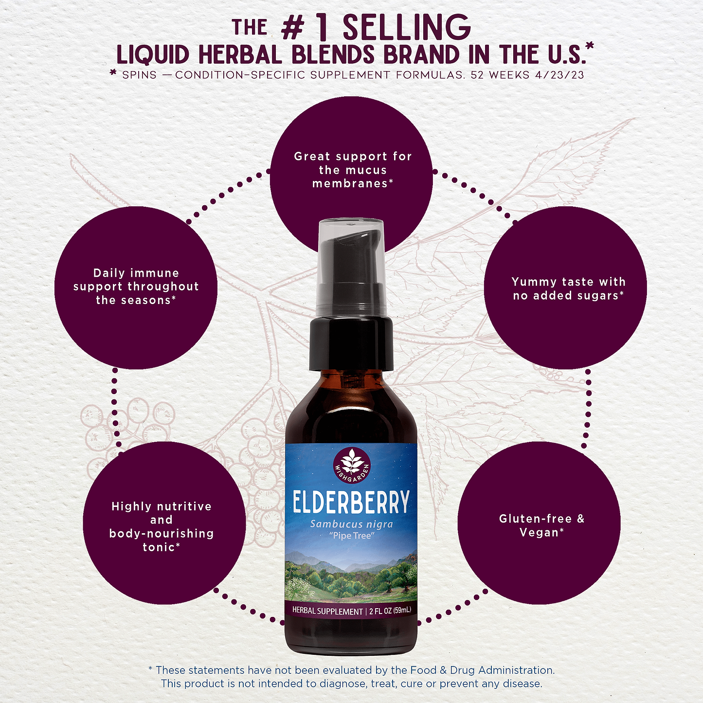 Benefits of Elderberry