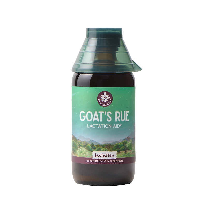 Goat's Rue Lactation Aid