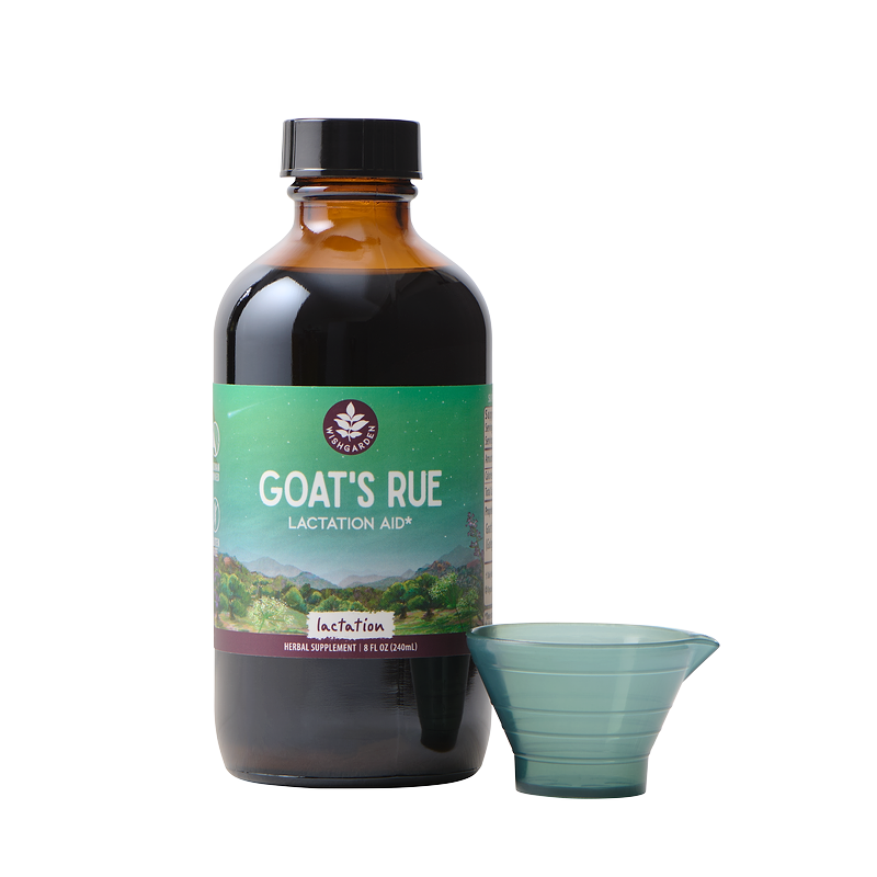 Goat's Rue Lactation Aid