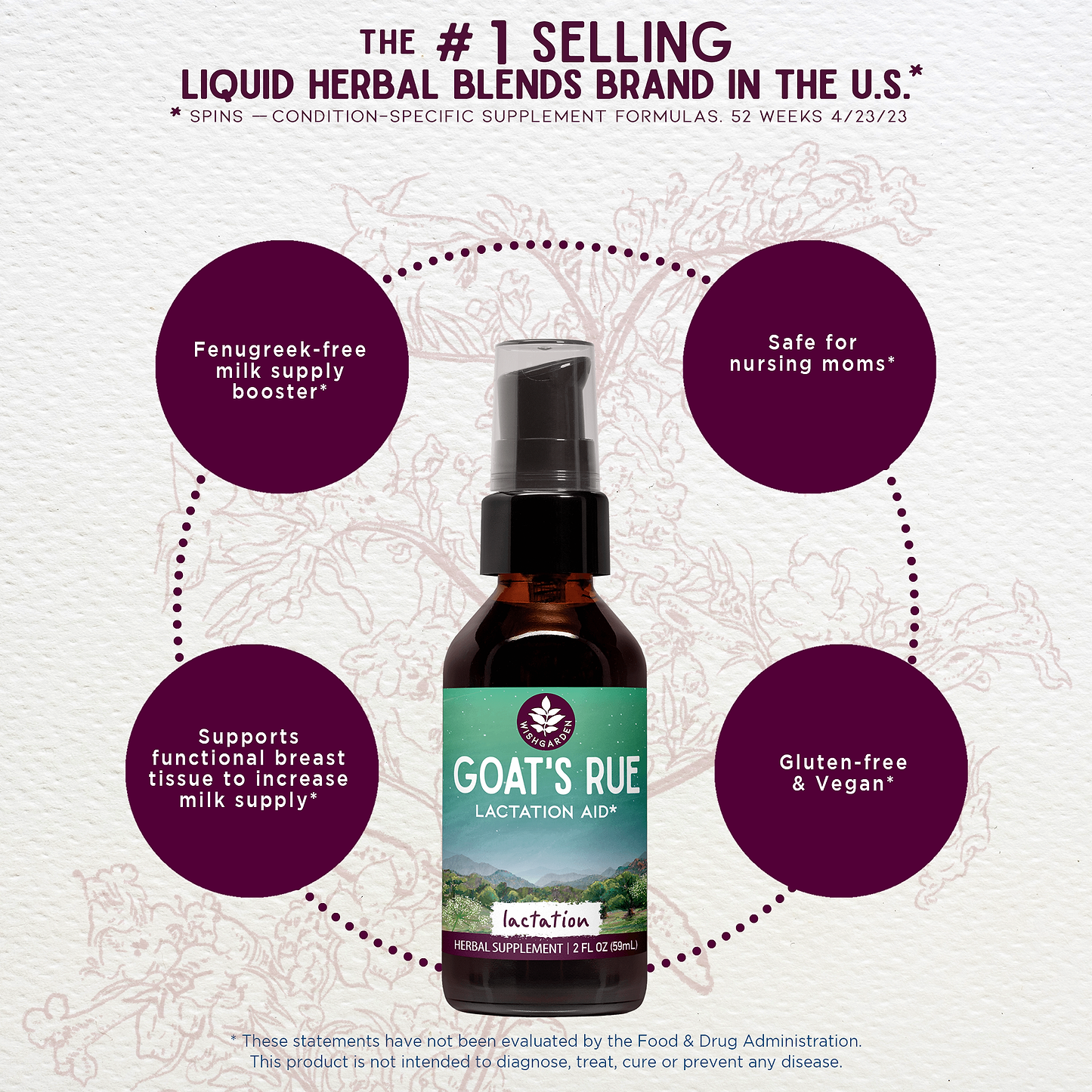 Benefits of Goat's Rue Lactation Aid