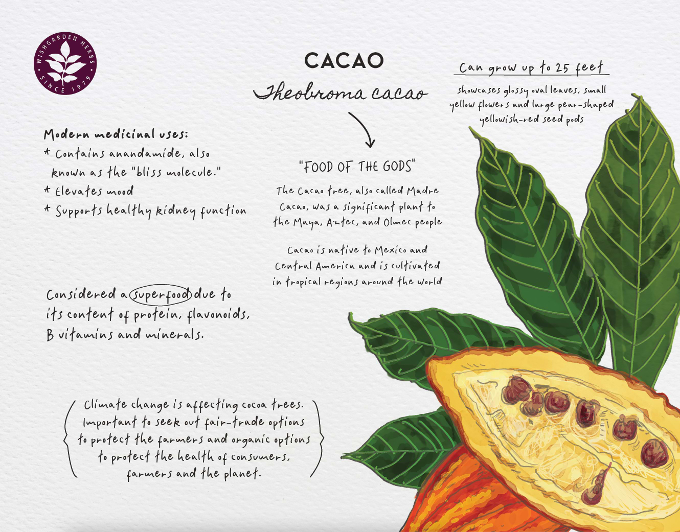 2026 Herb of the Month Wall Calendar