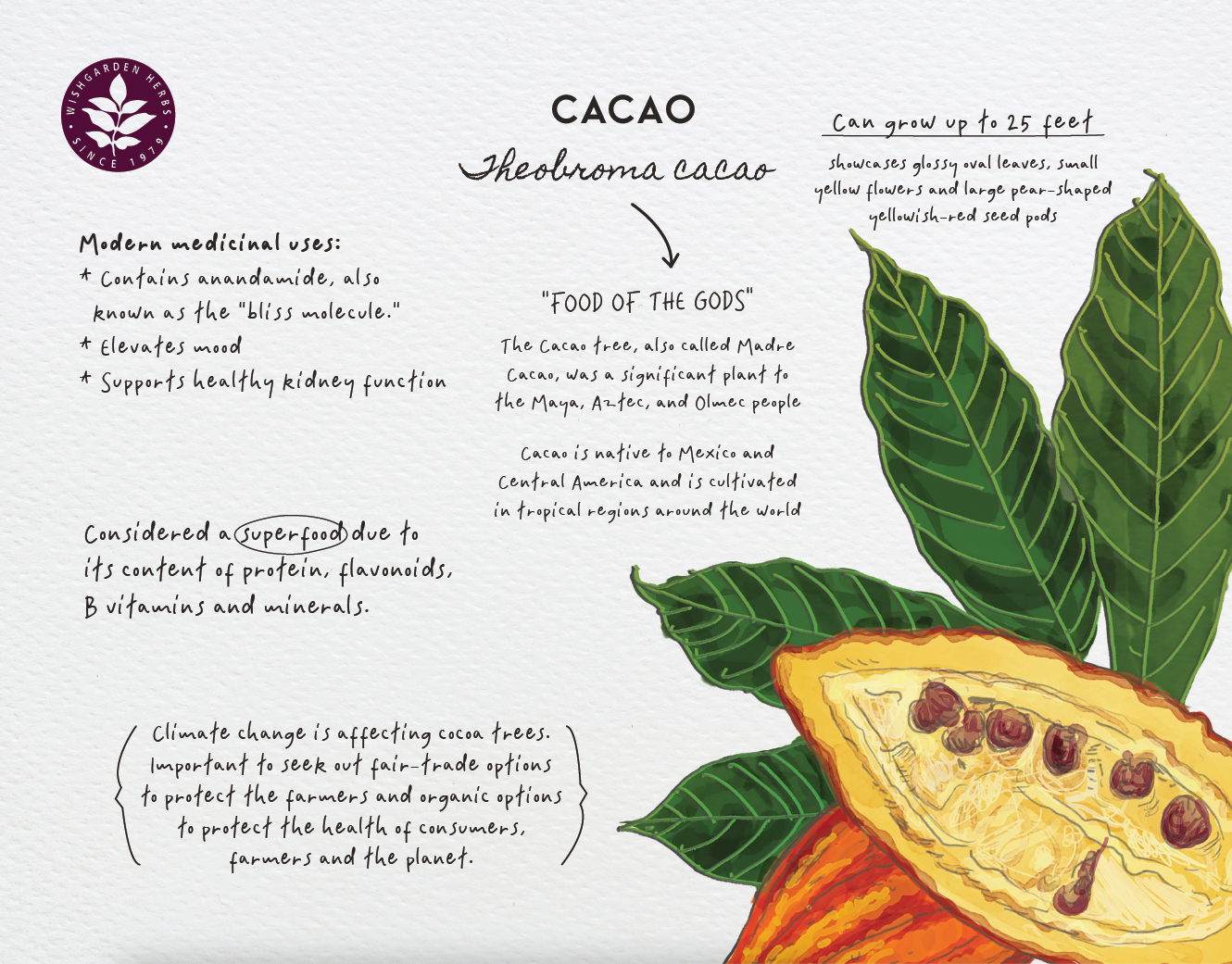 2026 Herb of the Month Wall Calendar