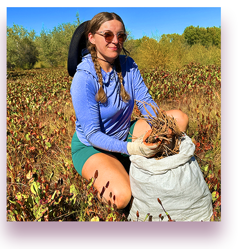 Lynn DiDomenico Certified Herbalist, Quality Control Specialist at WishGarden Herbs
