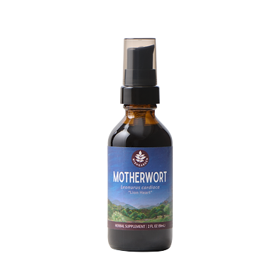 Motherwort