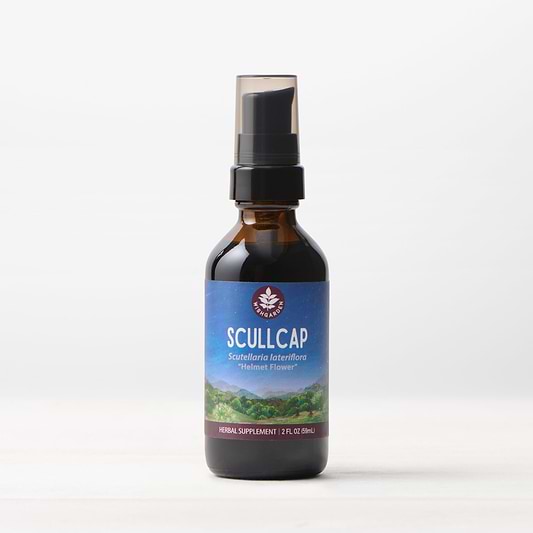 Scullcap