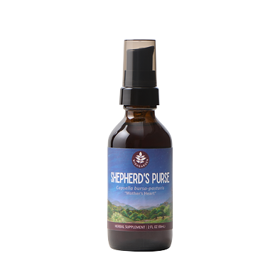 Shepherd's Purse