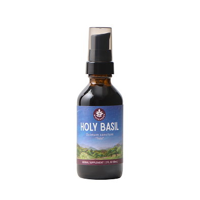 Holy Basil