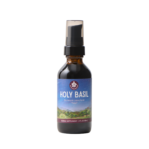 Holy Basil