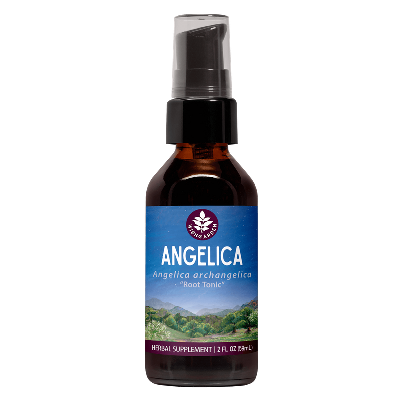 Angelica 2oz Pump