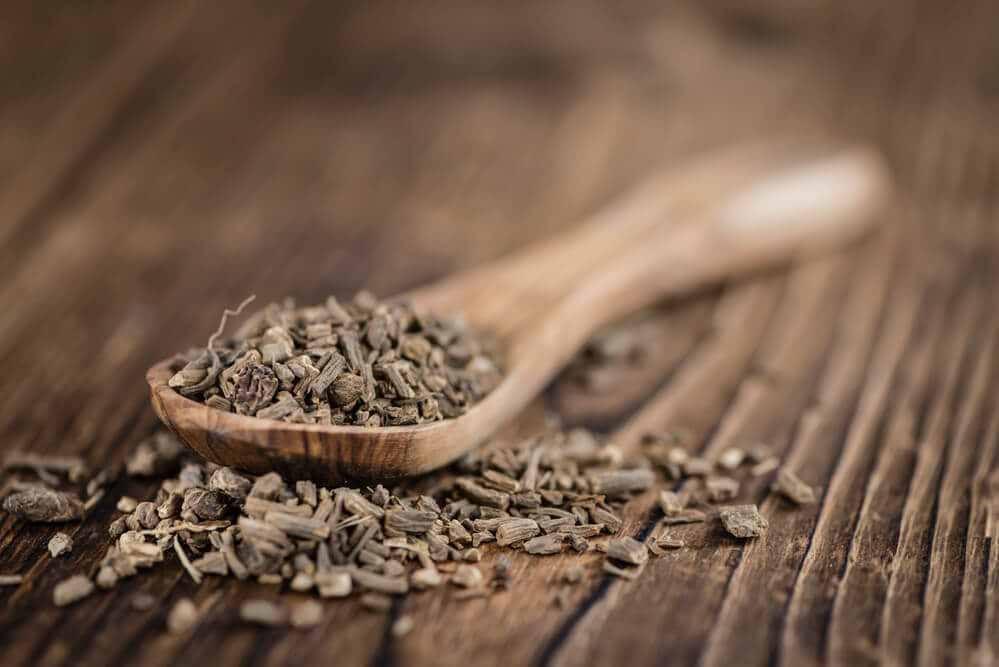 Valerian Root Benefits: More Than a Sleep Herb