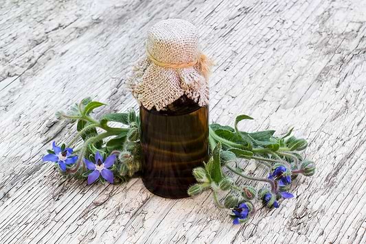Herbal Support for Perimenopause: The Ultimate Guide to Thriving Naturally During the Transition