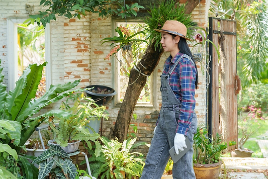 The Herbalist’s Guide to Restoring a Natural Histamine Response