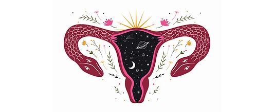 Reproductive Transitions
