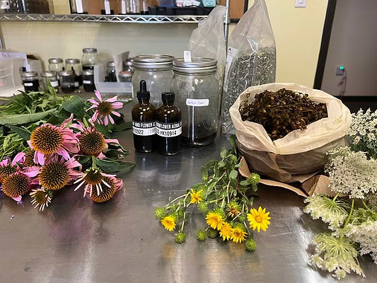 Boneset & Elderberry Seasonal Support Tincture Recipe