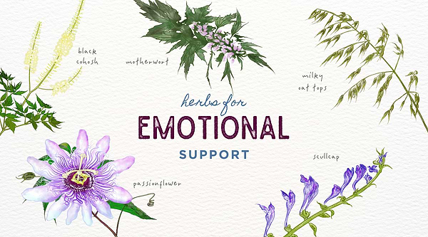 Embrace Emotional Wellness: 5 Herbs to Keep You Grounded