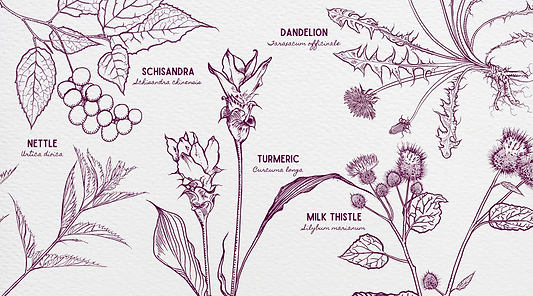 Honor Your Rebirth with the Cleansing Power of Plants