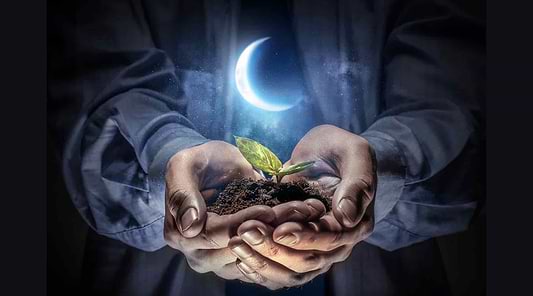 Magical Moon Phase Gardening