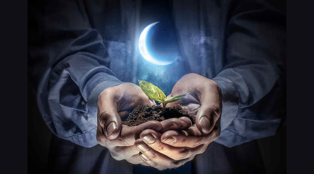 Magical Moon Phase Gardening