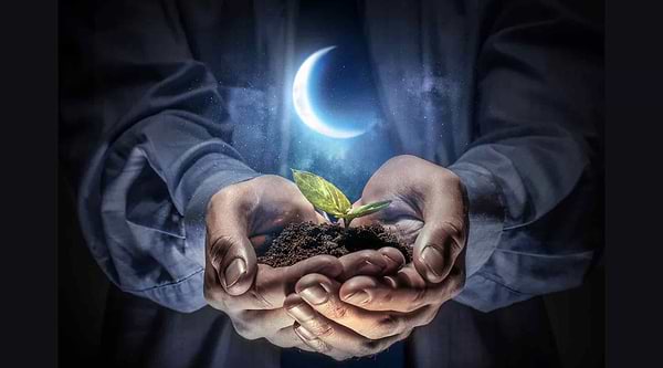 Magical Moon Phase Gardening