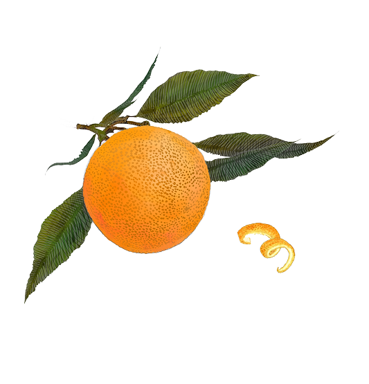Orange Peel: A Juicy Global Treasure