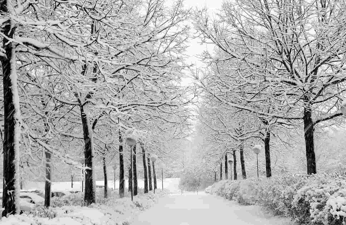 Winter Detox: Revamp Your Health in the Colder Months