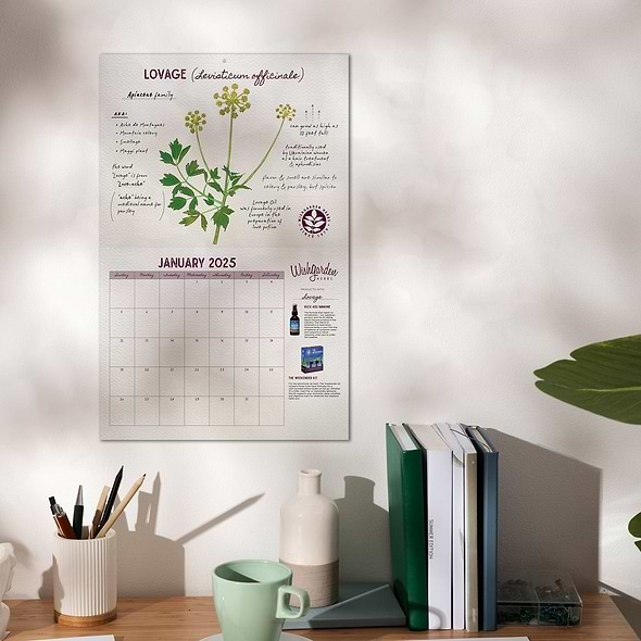 WishGarden Herbs Herb of the Month Wall Calendar