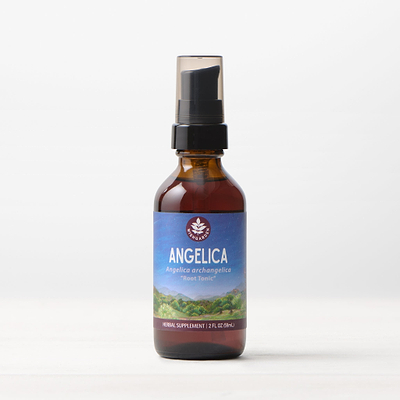 Angelica