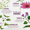 Featured Herbs in Immune Boost Seasonal Rescue for Pregnancy