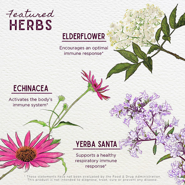 Featured Herbs in Kick-Ass Immune Activator