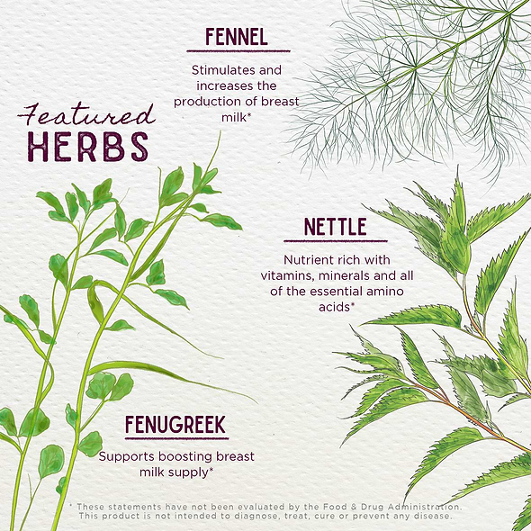 Featured Herbs in Milk Rich Supply Booster