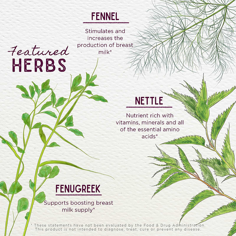 Featured Herbs in Milk Rich Supply Booster