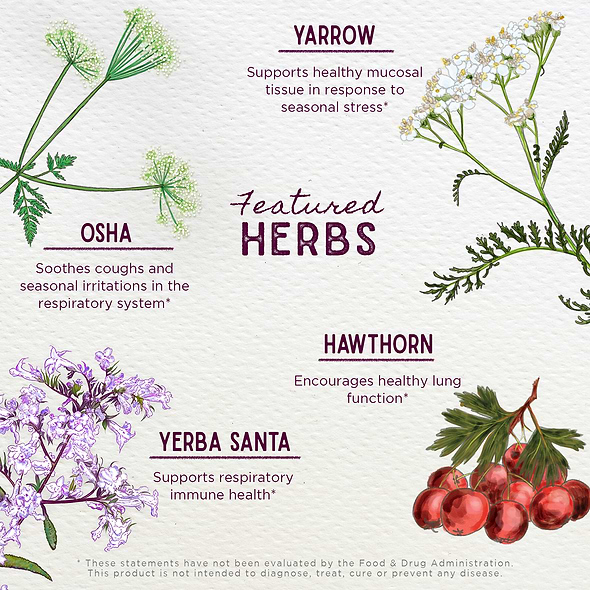 Featured Herbs in Deep Lung & Bronchial Support