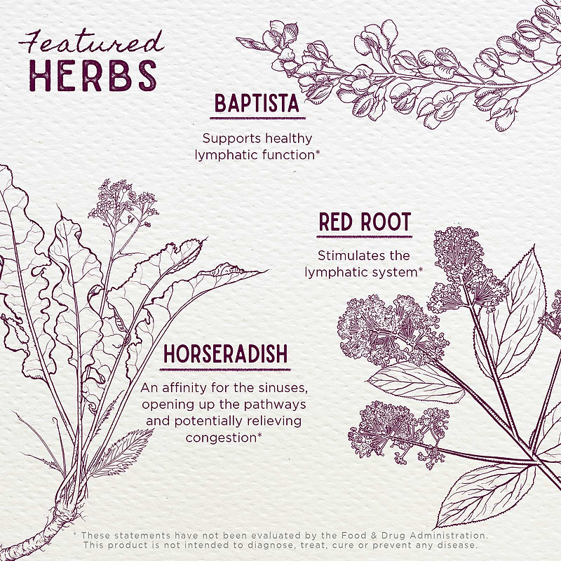 Featured Herbs in Kick-Ass Sinus Move & Soothe