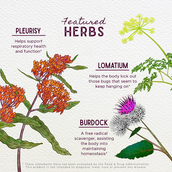 Featured Herbs in Get Over It! Immune Recovery