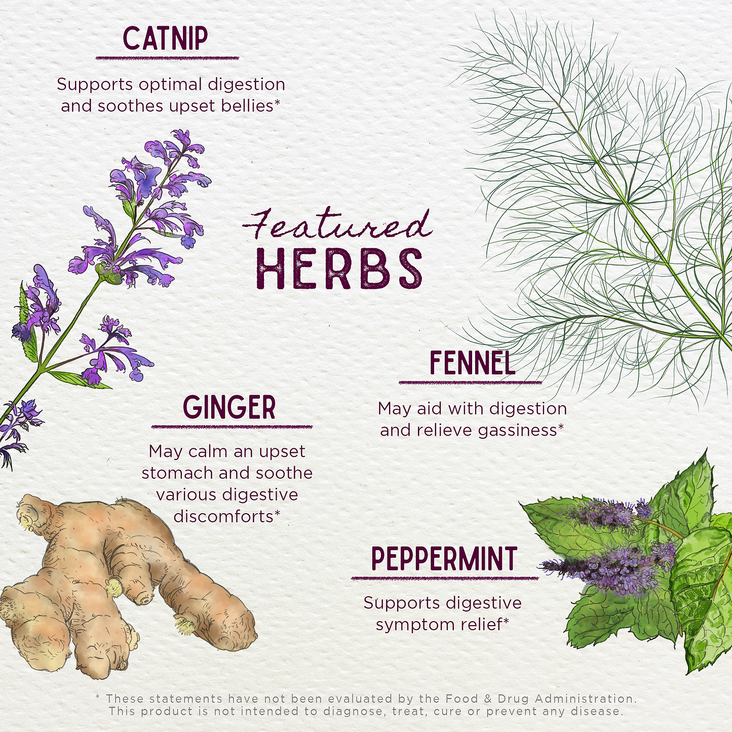 Featured Herbs in Digestive Rescue GI Normalizer