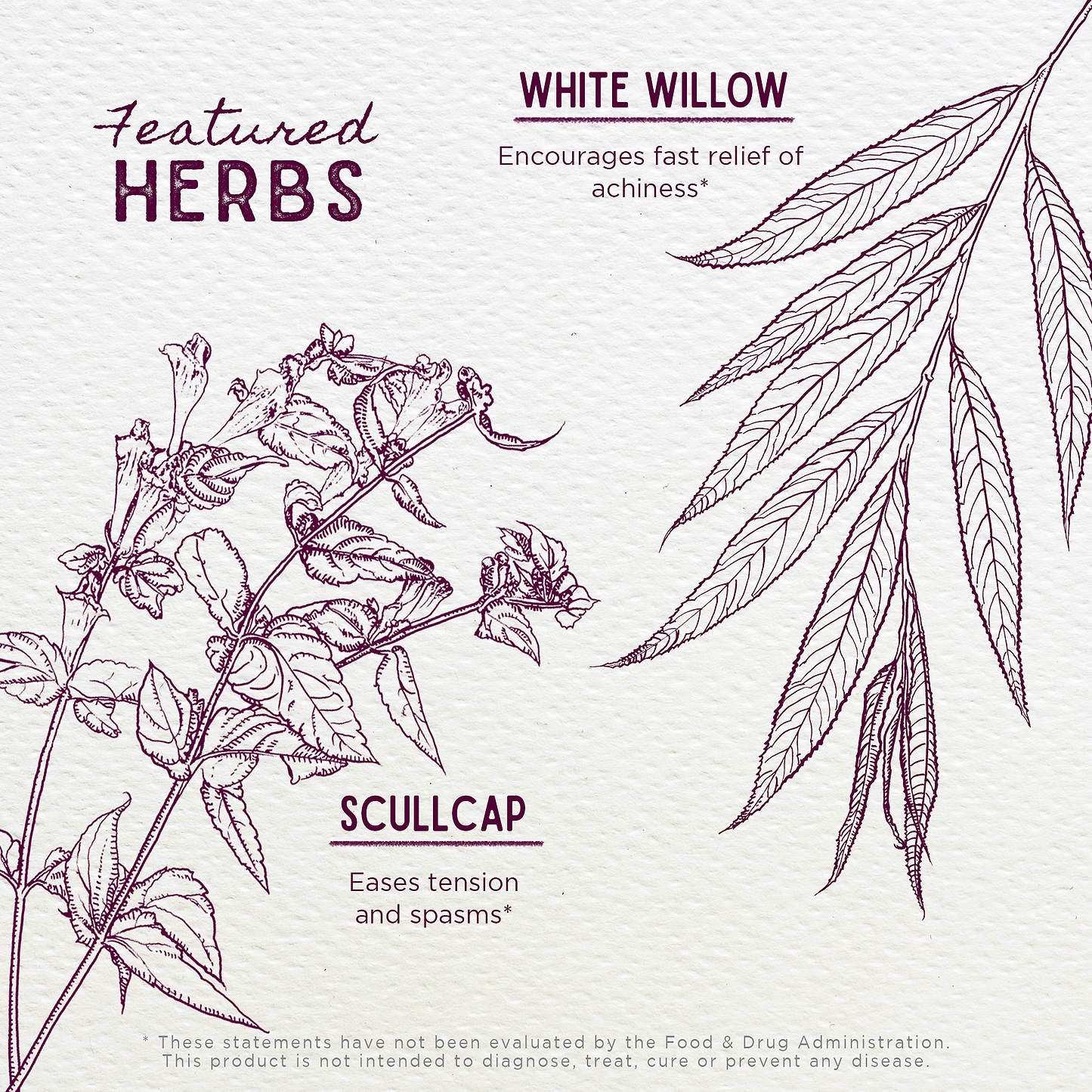 Featured Herbs in Cranial Comfort Tension Release